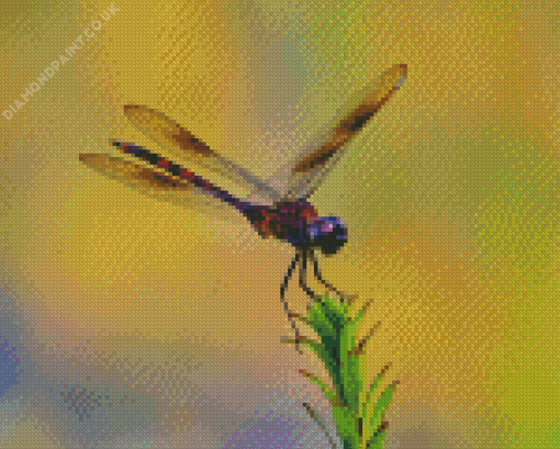 Purple Dragonfly Diamond Painting