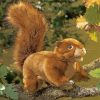 Red Squirrel Diamond Painting