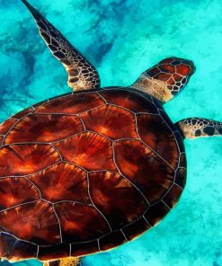 Sea Red Turtle Diamond Painting