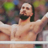 Seth Rollins WWE Diamond Painting