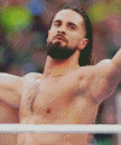 Seth Rollins WWE Diamond Painting