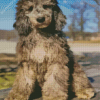 Silver Goldendoodle Diamond Painting