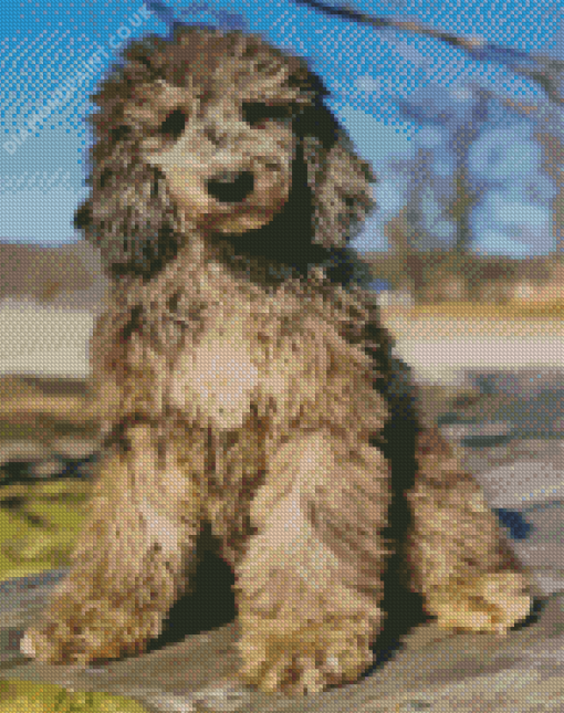 Silver Goldendoodle Diamond Painting