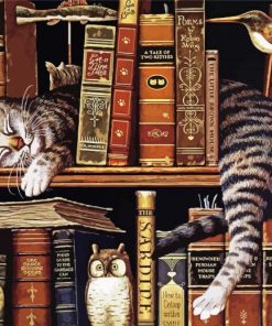 Vintage Cat With Books Diamond Painting