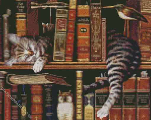 Vintage Cat With Books Diamond Painting