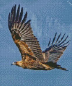 Wedge Tailed Eagle Diamond Painting