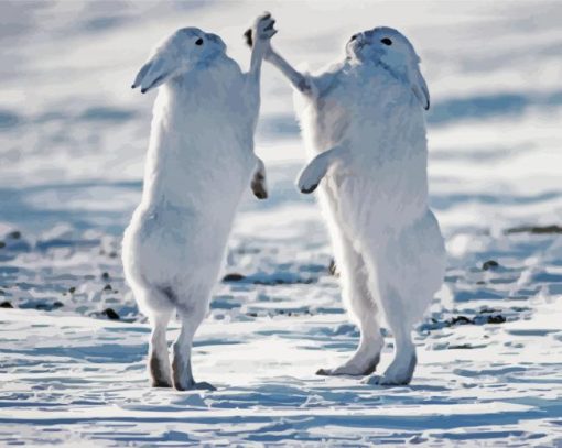 White Fighting Hares Diamond Painting