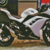 White Kawasaki Ninja Diamond Painting