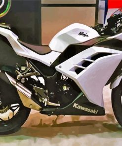 White Kawasaki Ninja Diamond Painting