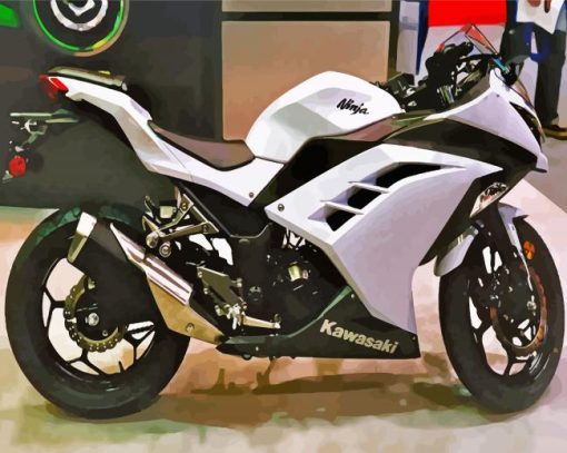 White Kawasaki Ninja Diamond Painting