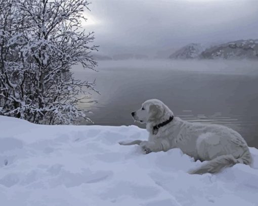 White Golden Retriever Diamond Painting