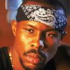 Avon Barksdale The Wire Diamond Painting