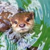 Baby Otter Diamond Painting