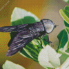 Black Horse Fly Diamond Painting