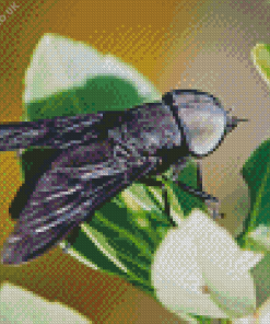 Black Horse Fly Diamond Painting