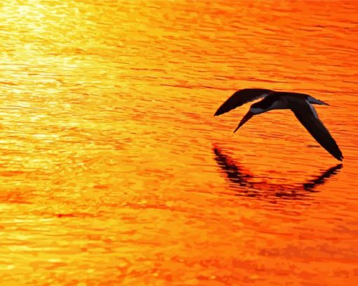 Black Skimmer Diamond Painting