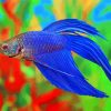 Blue Betta Siamese Diamond Painting