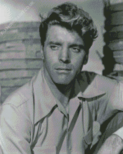 Burt Lancaster Diamond Painting