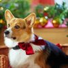 Christmas Corgi Diamond Painting