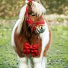 Cute Shetland Pony Diamond Painting