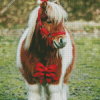 Cute Shetland Pony Diamond Painting