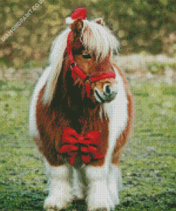 Cute Shetland Pony Diamond Painting