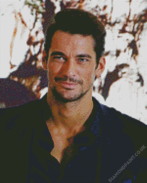 David Gandy Diamond Painting