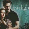 Edward And Bella Diamond Painting