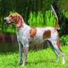 English Hound Diamond Painting