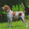 English Hound Diamond Painting