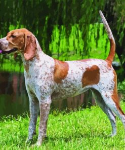 English Hound Diamond Painting