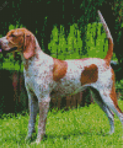 English Hound Diamond Painting