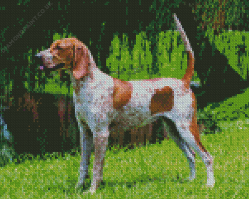 English Hound Diamond Painting