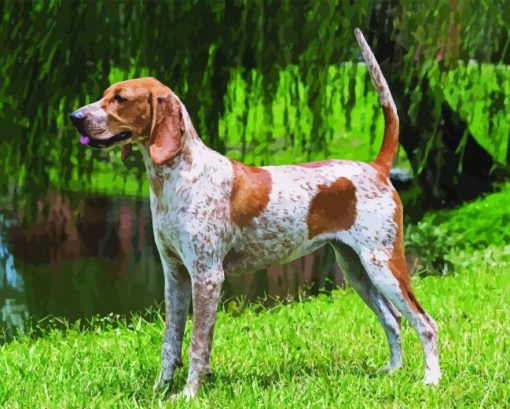 English Hound Diamond Painting