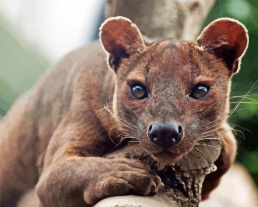 Fossa Animal Diamond Painting