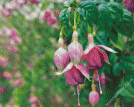 Fuchsia Plant Diamond Painting