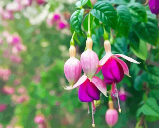 Fuchsia Plant Diamond Painting