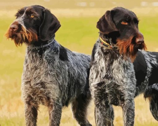 German Wirehaired Diamond Painting