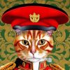 Ginger Cat In Uniform Diamond Painting