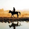 Horse Riding Silhouette Diamond Painting