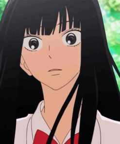 Kimi Ni Todoke Diamond Painting