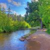 Lake Itasca Diamond Painting