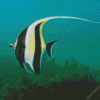 Moorish Idol Diamond Painting