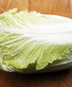 Napa Cabbage Diamond Painting