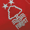 Nottingham Forest FC Diamond Painting