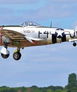 P47 Thunderbolt Diamond Painting