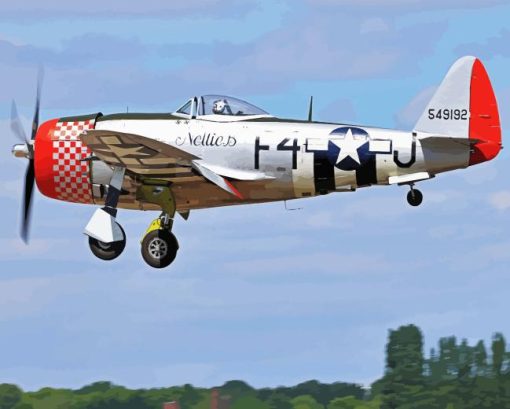 P47 Thunderbolt Diamond Painting