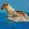 Palomino Horse In Sea Diamond Painting