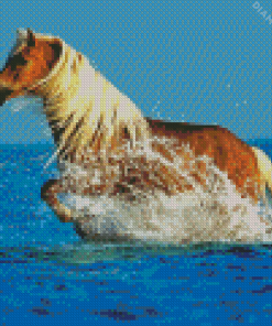 Palomino Horse In Sea Diamond Painting