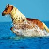 Palomino Horse In Sea Diamond Painting